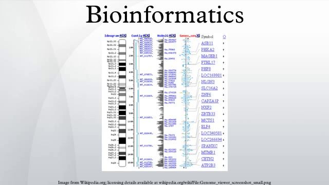 Bioinformatics смотреть онлайн