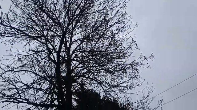 Медовые водопады. Карачаево -Черкесия смотреть онлайн