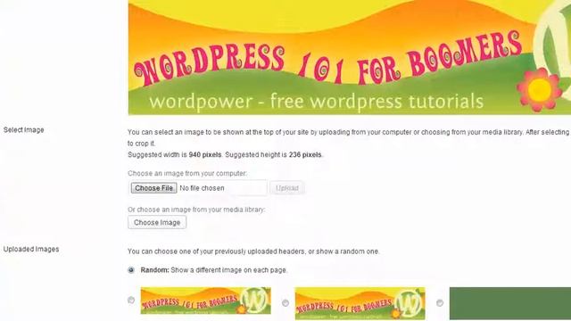 Delete Random WordPress Header смотреть онлайн