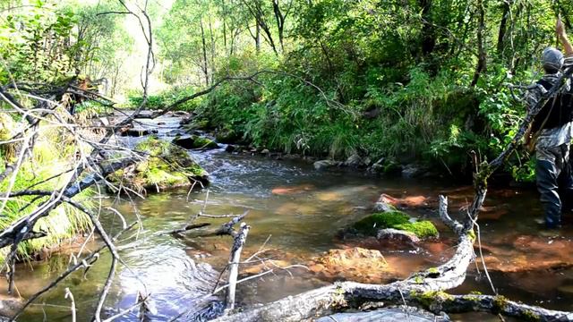 Р. Кондратюк. Рыбалка с тенкарой на р. Листвянка смотреть онлайн