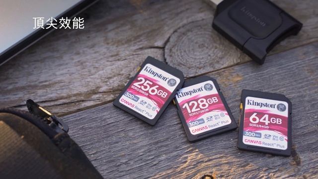 Class 10 SD Card - UHS-II、U3、V90 - Canvas React Plus SD - Kingston Technology смотреть онлайн