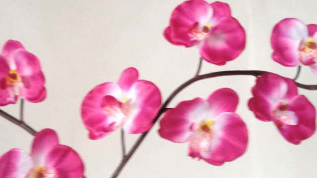 орхидея большая для заливки смотреть онлайн