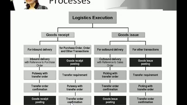 SAP Logistics Execution & Warehouse Management смотреть онлайн