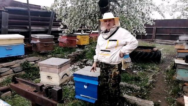 Быстрый отводок ! Как легко расширить пасеку (100% способ). смотреть онлайн