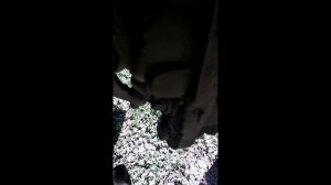 Гул и шум во время движения и в поворотах ваз