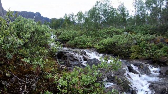 Поездка в Мурманскую область Серия - 3 К молибденовому руднику смотреть онлайн