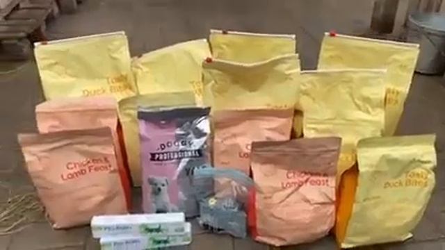 Огромная благодарность за помощь организации Paws of Peace . смотреть онлайн