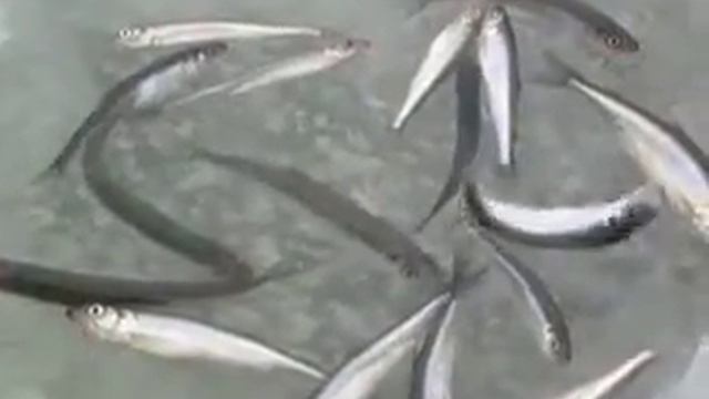 P1020720 смотреть онлайн