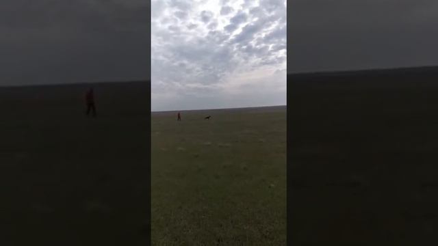 Натаска Дратхаара смотреть онлайн