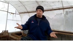 Клетки для кроликов. Плюсы и минусы деревянных клеток.