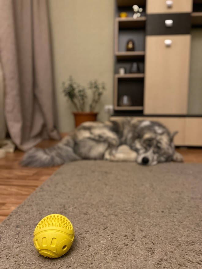 Игры с мячом смотреть онлайн