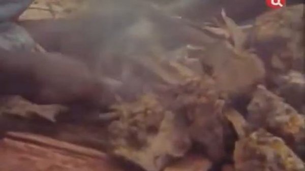 Подводная одиссея команды Кусто