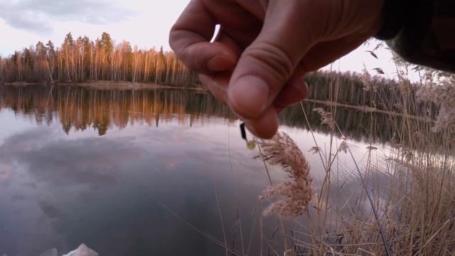 Рыболовный Ковчег