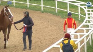 Павловский ипподром 4 скаковой день Розыгрыш традиционных призов