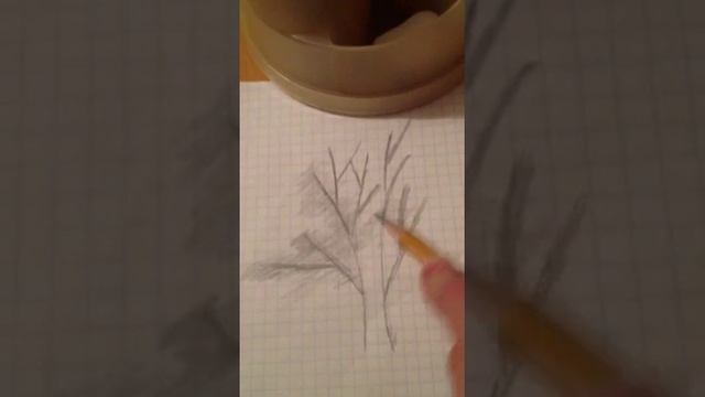 Как нарисовать дерево быстро и легко смотреть онлайн