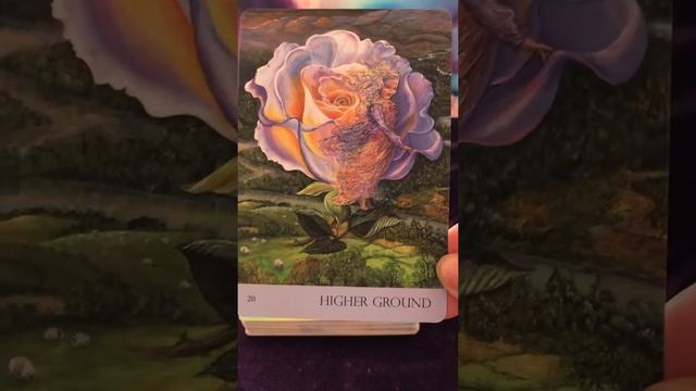 Oracle Reading: 3 Card Nature’s Whispers Reading смотреть онлайн