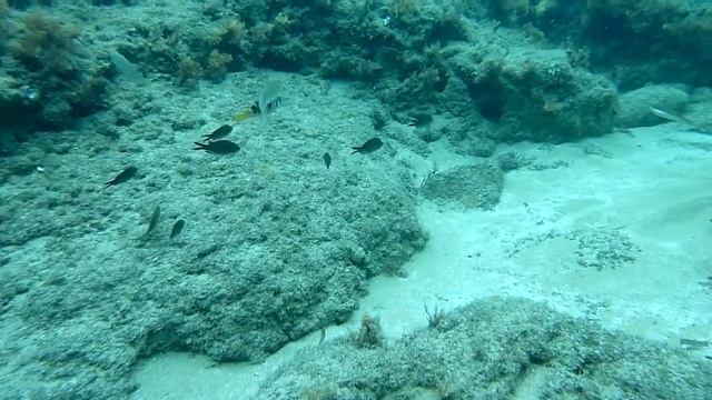 upor 0977 кипр под водой смотреть онлайн