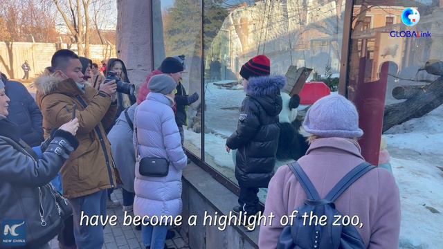 Vlog | From Beijing to Moscow, Explore a Close Bond (Part 2) смотреть онлайн