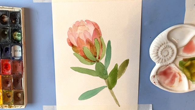 Протея. Рисуем экзотический цветок поэтапно акварелью. Медитативное рисование смотреть онлайн
