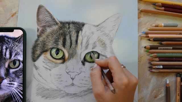 РИСУЕМ ГЛАЗ КОТА смотреть онлайн