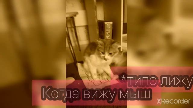 тип Мурки когда просто одихает. смотреть онлайн