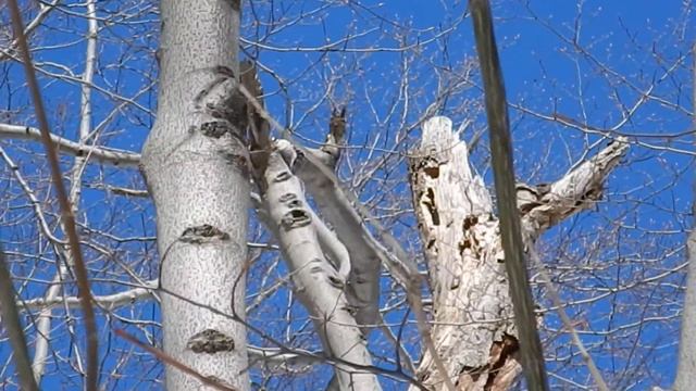 Nikon Coolpix AW120 Test смотреть онлайн