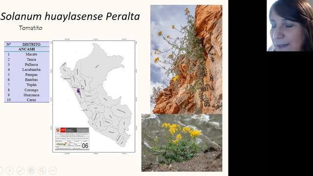 Iris Peralta - Integrative taxonomy and classification of wild tomatoes and close relatives смотреть онлайн