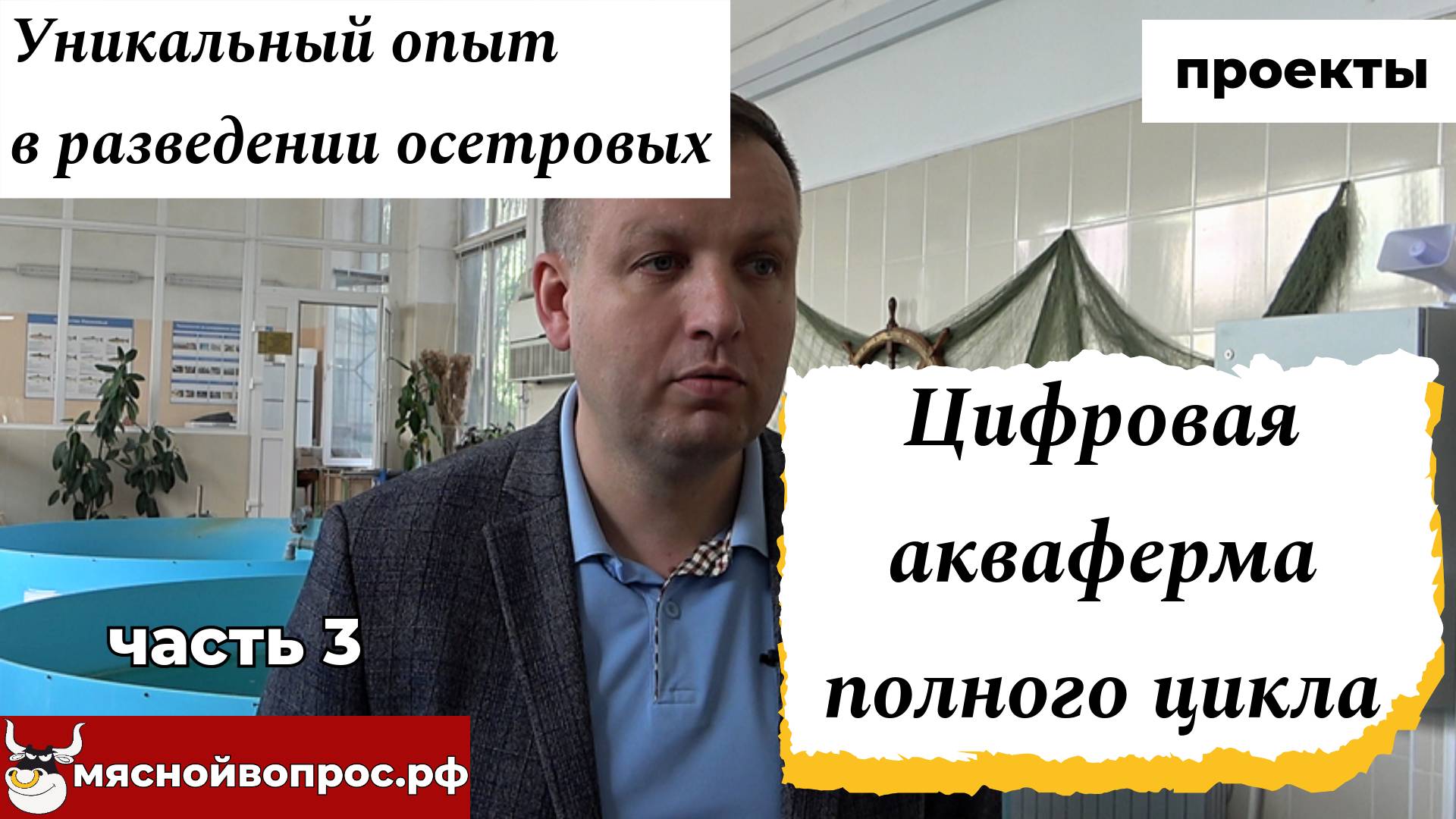 Цифровая акваферма полного цикла по разведению ценных пород осетровых. Часть 3 смотреть онлайн