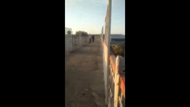 Мчится к нам Новый год 2019 смотреть онлайн