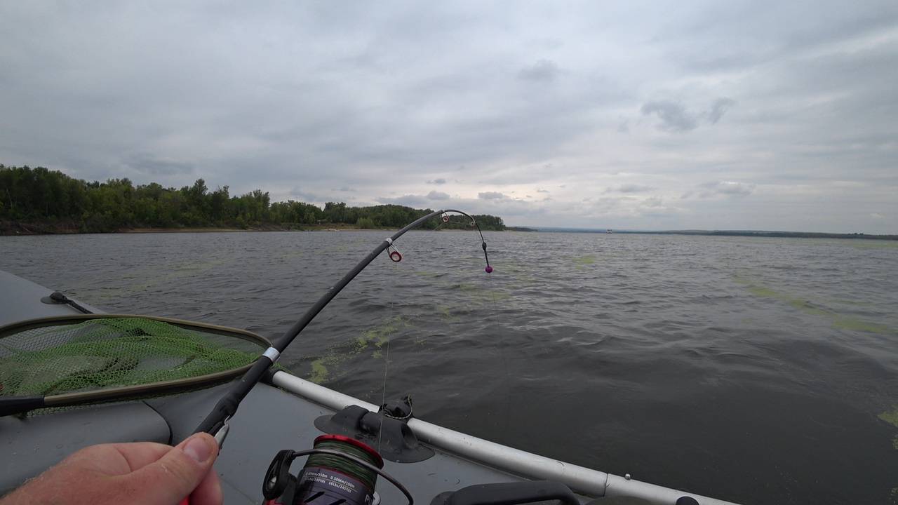 Наконец то Крупный лещ пошёл. Рыбалка на сильном течении. Ловля леща на кольцо смотреть онлайн