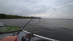 Наконец то Крупный лещ пошёл. Рыбалка на сильном течении. Ловля леща на кольцо