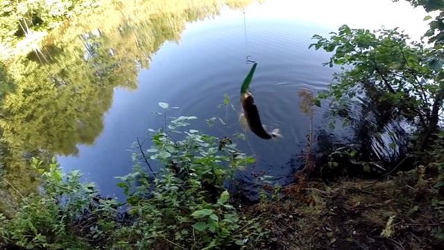 Щука на воблер Kosadaka ION 130 + slowmotion смотреть онлайн