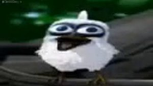 Белая птица орет мем из тик тока