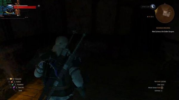 The Witcher 3 (4.03) R7 7800X3D Bottlenecks RTX 3080 12 GB in Novigrad