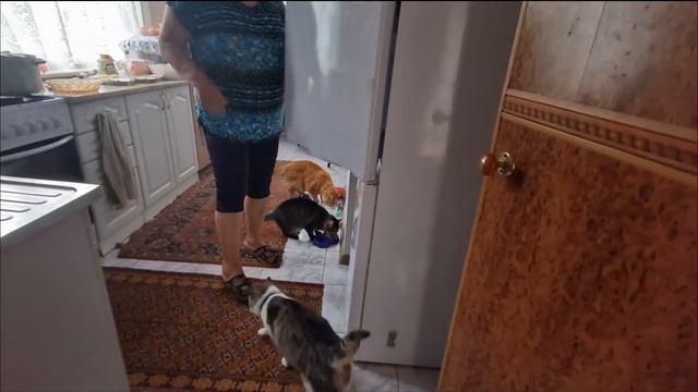 Украина. Киев. У нас в Августе много Львов. смотреть онлайн