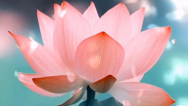 #400subscriber #?????? ???? ??? Мощнейшее комбо скрытых аффирмации + медитация Ани Лео смотреть онлайн