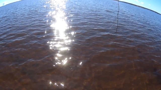 Вода ушла,рыба пришла.Набрал рыбы мешок!Рыбалка в Арктике!Белое море! смотреть онлайн