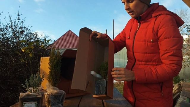 ?Посылка из Опт Хоз {Сезон 2023} смотреть онлайн