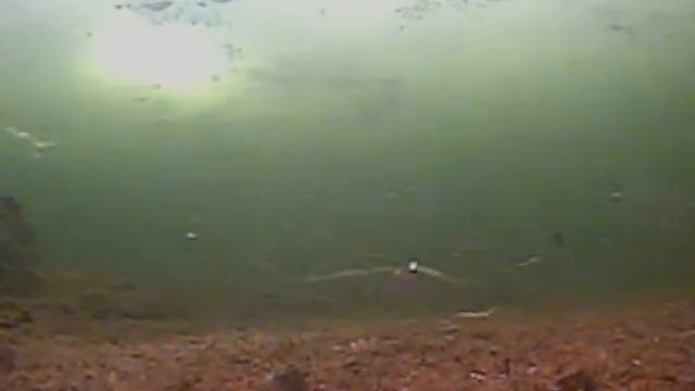 подлёдная рыбалка на озере Таватуй ч.2 смотреть онлайн