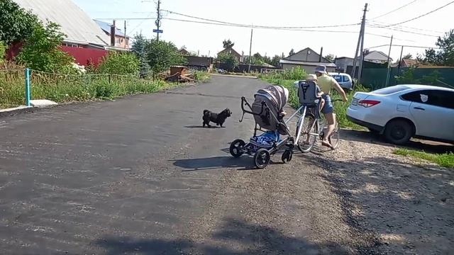 Коляска вместо люльки для велосипеда. смотреть онлайн
