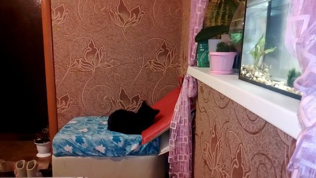 Джесика спит смотреть онлайн