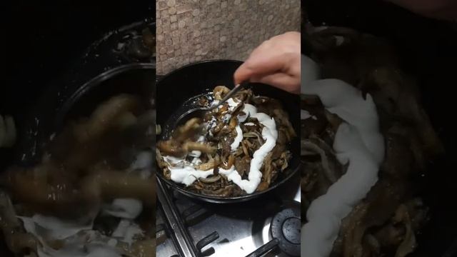 Грибы вешенки в сметане.#запорожье #mushroom #вешенки #приготовлениееды смотреть онлайн