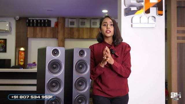 Acoustic Energy Home Theater Speaker | Best Floor Standing Speaker For Movie Lovers