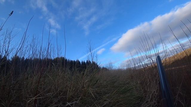 Охота на утку поздней осенью! Часть 2. смотреть онлайн