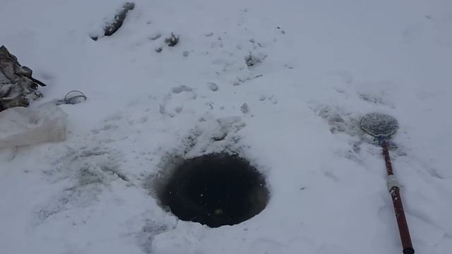 Рыбалка на хапуги паромка 27 ноября Комсомольск-на-Амуре смотреть онлайн