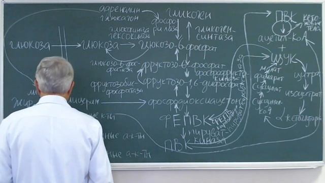 12:00 Интеграция обменов углеводов липидов белков смотреть онлайн