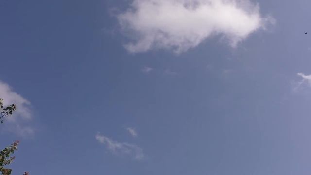 Этническая музыка - Барабаны смотреть онлайн