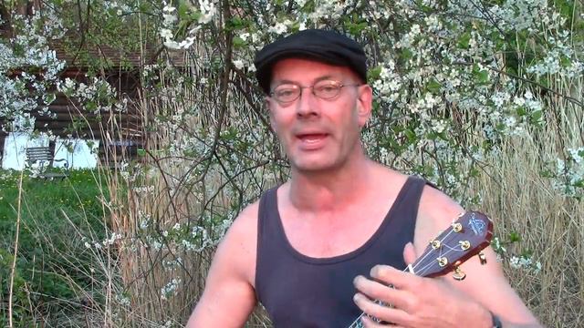 Andree Jochmann: Golden Brown (by the Stranglers) Ukulele Cover смотреть онлайн
