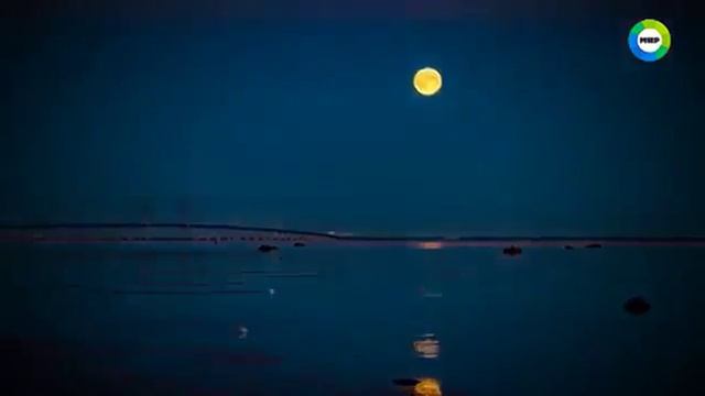 Почему русалки нападают на людей. Кто такие русалки. Земля Территория загадок. смотреть онлайн