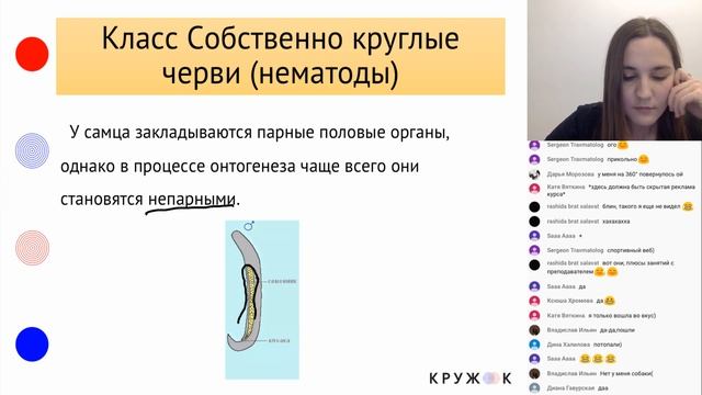 Вебинар №2. Тип круглые черви | КРУЖОК смотреть онлайн